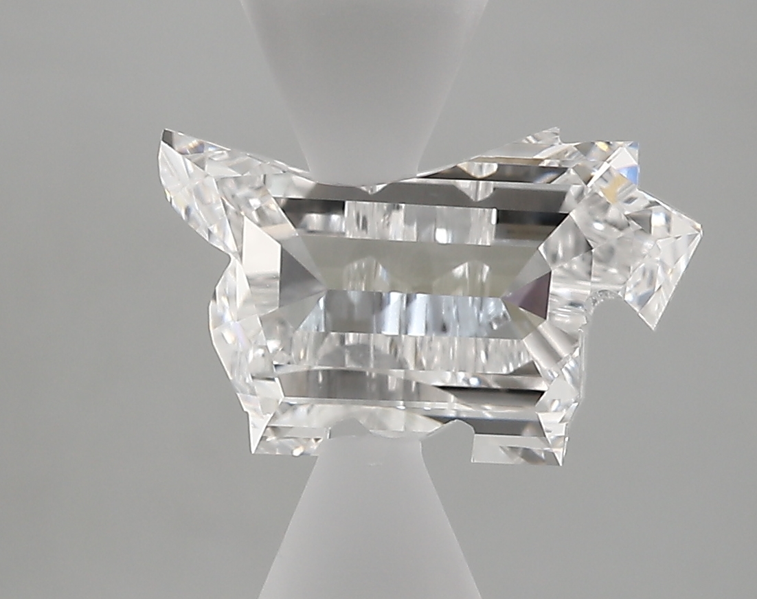 OTHER - dog