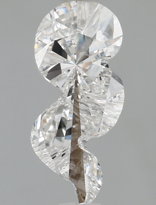 OTHER - snake
